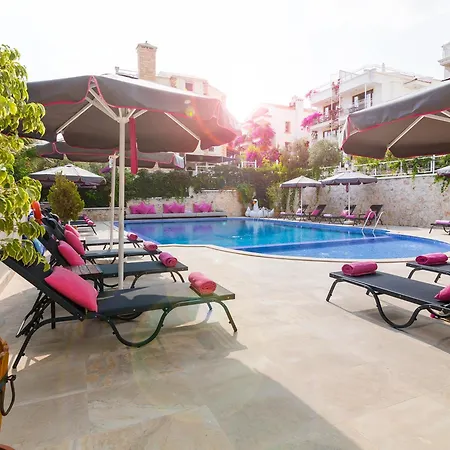 101 Kalkan
