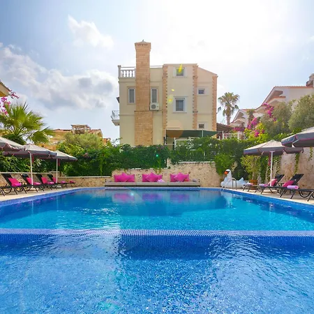 101 * Kalkan